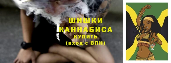винт Богородск