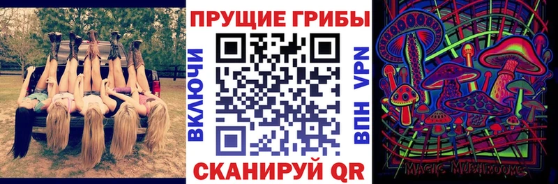 Псилоцибиновые грибы Magic Shrooms даркнет клад Верхоянск hydra как зайти
